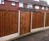 Premium Feather Edge Panels & Matchboard Gate